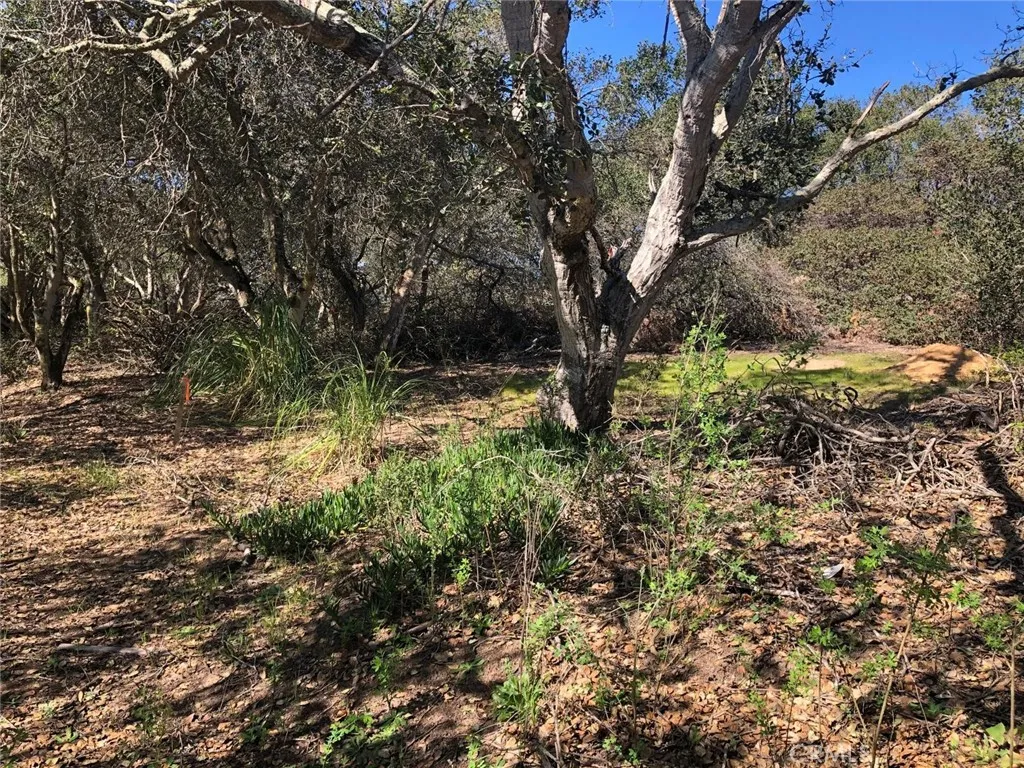 221 Tucker, Royal Oaks, CA 95076 - Photo 5 of 9, Royal Oaks, CA