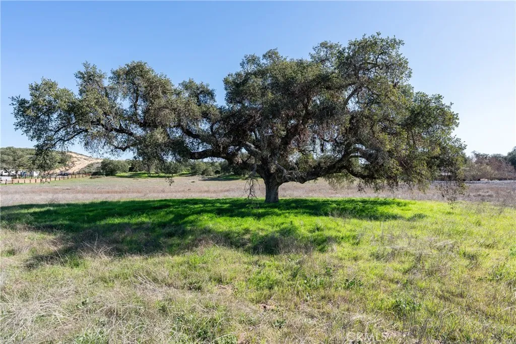 Murrieta