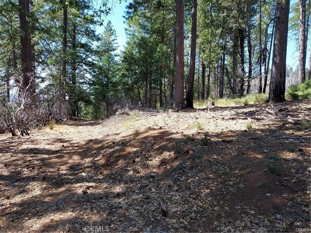 16102 Sugar Pine Ridge, Cobb, CA 95426