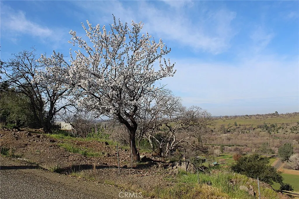0 Rim Rock, Chico, CA 95928 - Photo 3 of 15, Chico, CA