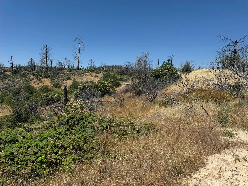 0 Sierra View, Berry Creek, CA 95916 - Photo 4 of 5, Berry Creek, CA