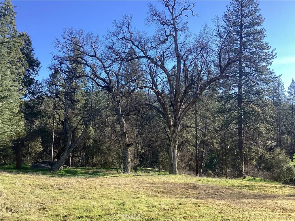 40833 Winding Way, Oakhurst, CA 93644 - Photo 5 of 19, Oakhurst, CA