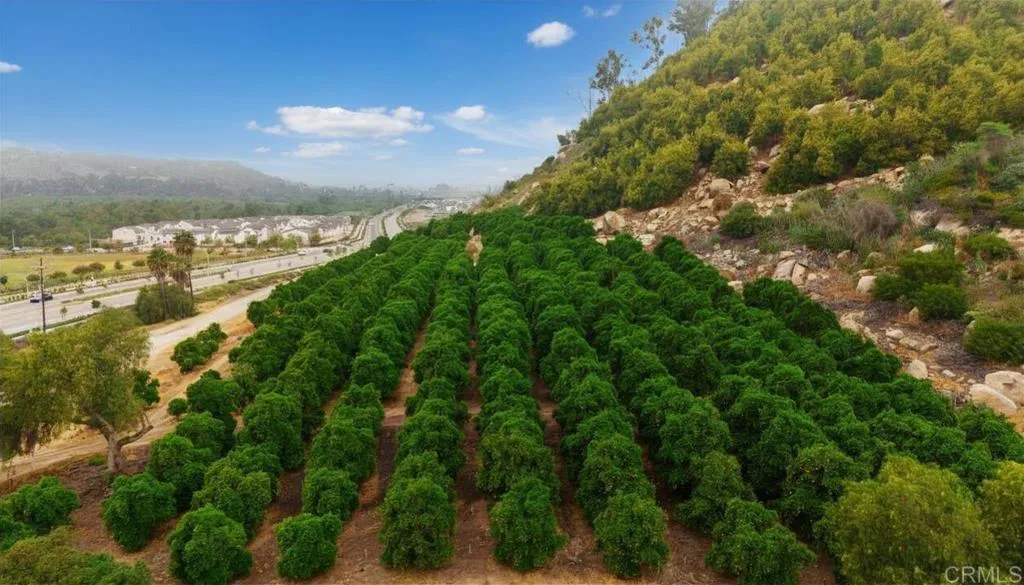 Photo #18: NDP2601309 Listing: Photo #18