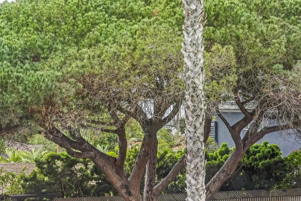 Photo #12: NDP2601318 Listing: Photo #12