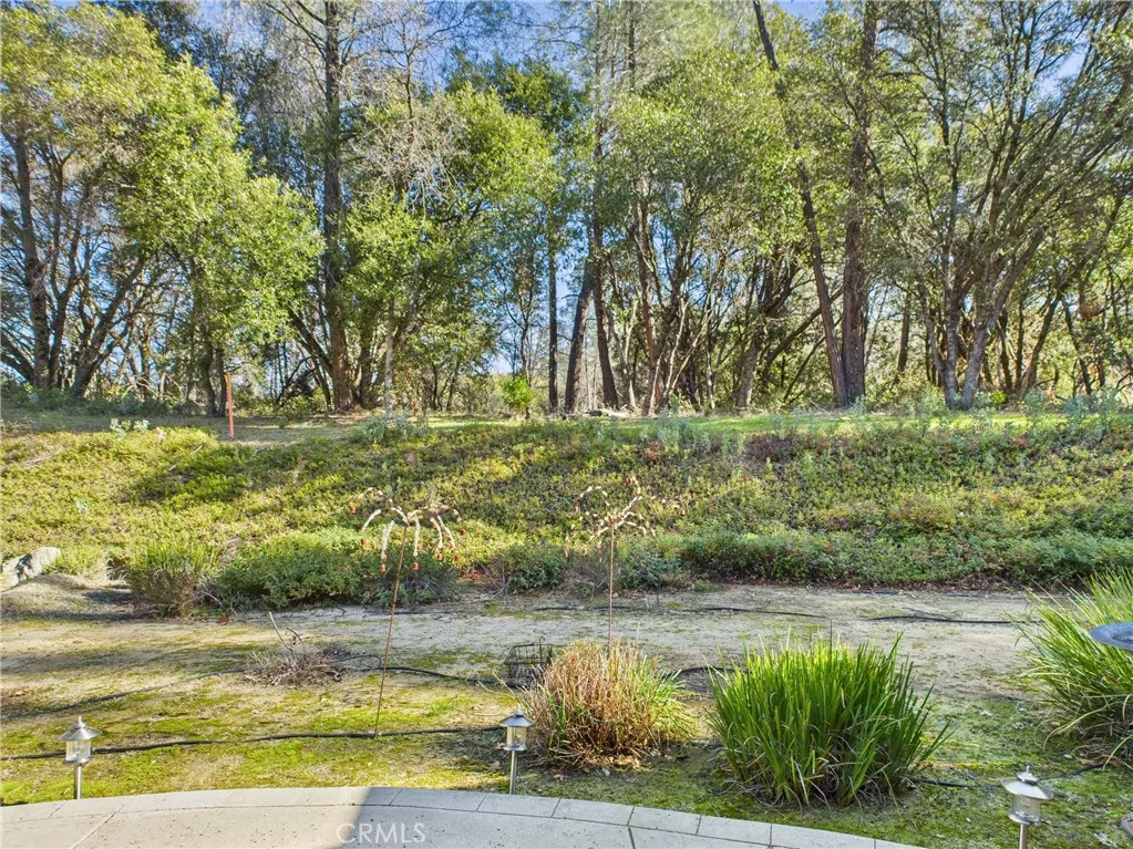 37550 Mountain Lakes, Oakhurst, CA 93644 - Photo 5 of 71, Oakhurst, CA