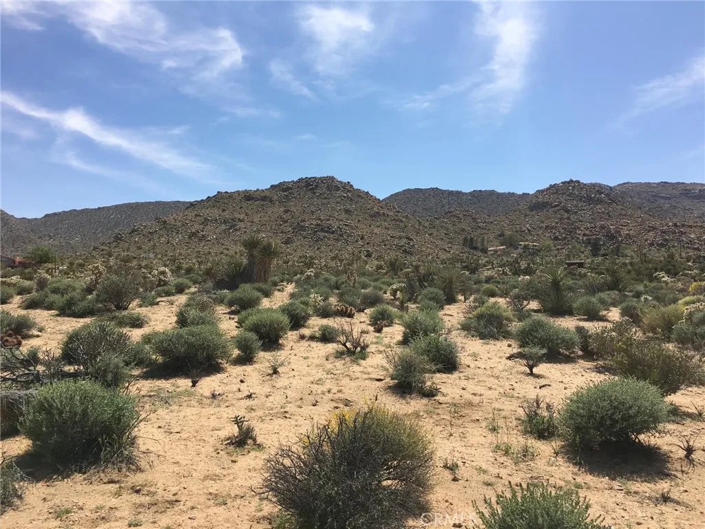 Joshua Tree, CA 92252