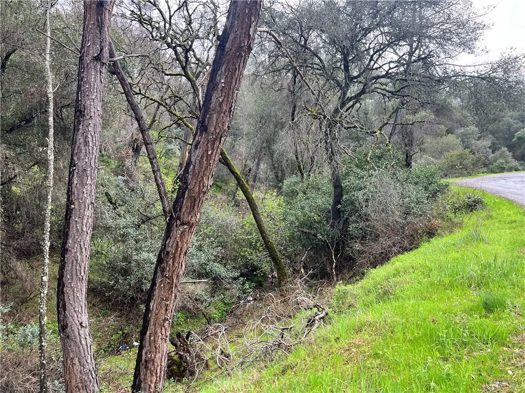 12215 Mountain View, Clearlake Oaks, CA 95423 - Photo 4 of 10, Clearlake Oaks, CA