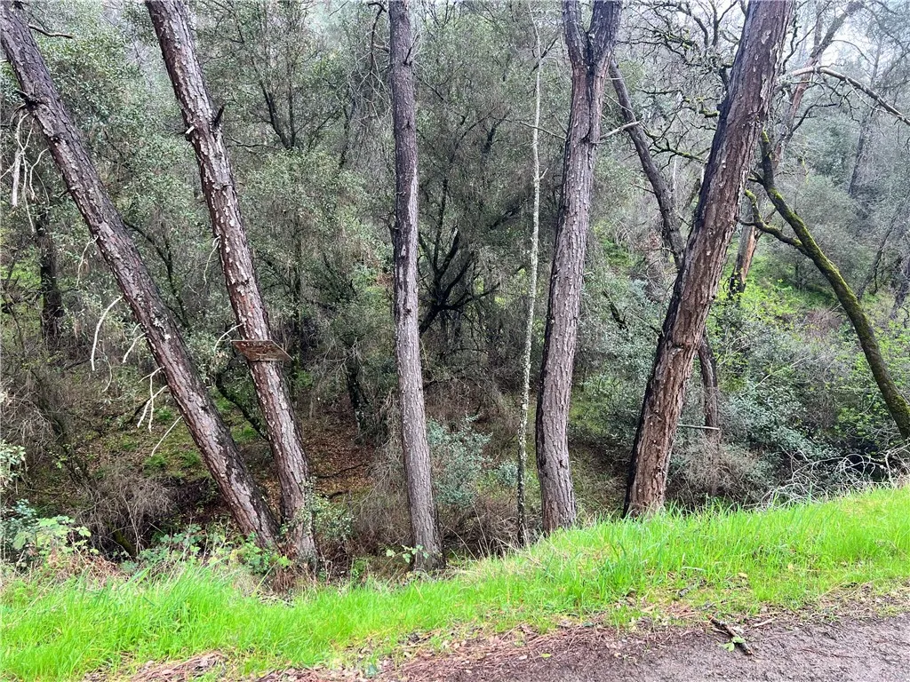12215 Mountain View, Clearlake Oaks, CA 95423 - Photo 3 of 10, Clearlake Oaks, CA