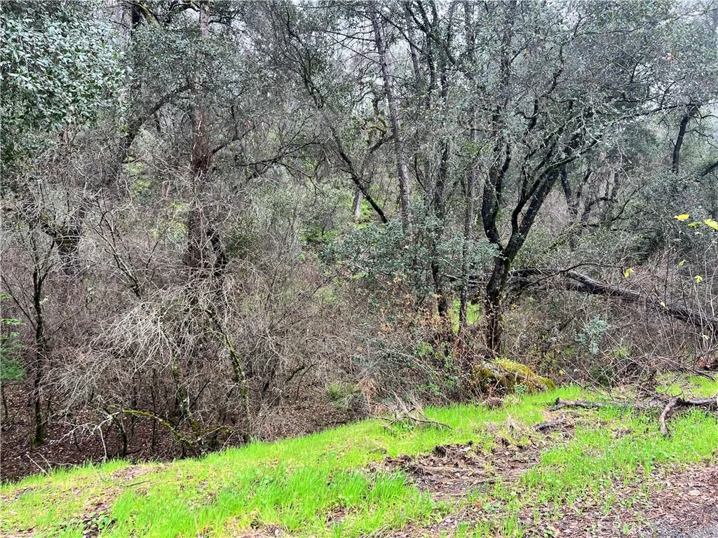 12215 Mountain View, Clearlake Oaks, CA 95423 - Photo 2 of 10, Clearlake Oaks, CA