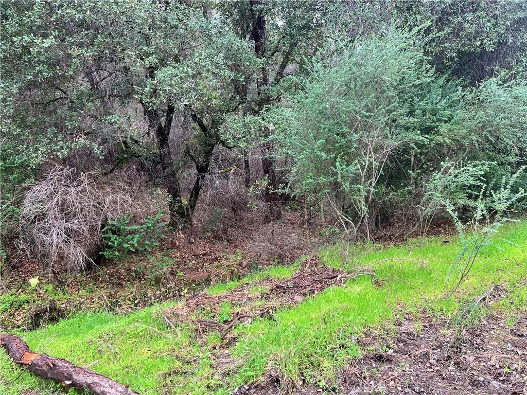 Clearlake Oaks, CA 95423