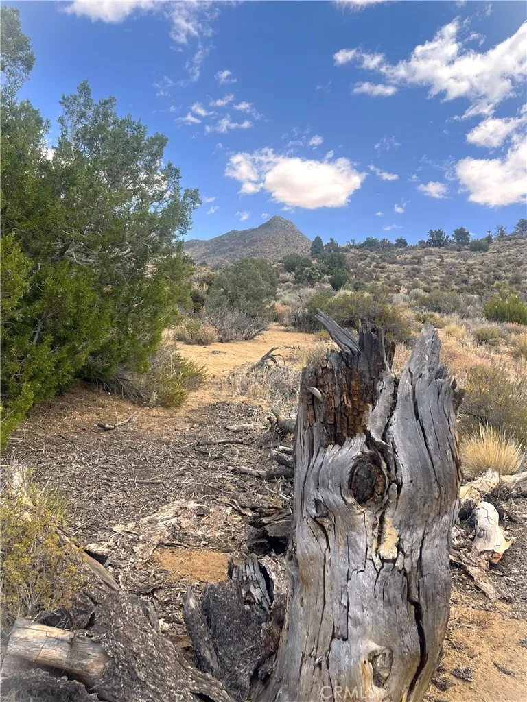 0 Pine Hollow Rd., Onyx, CA 93255 - Photo 4 of 10, Onyx, CA