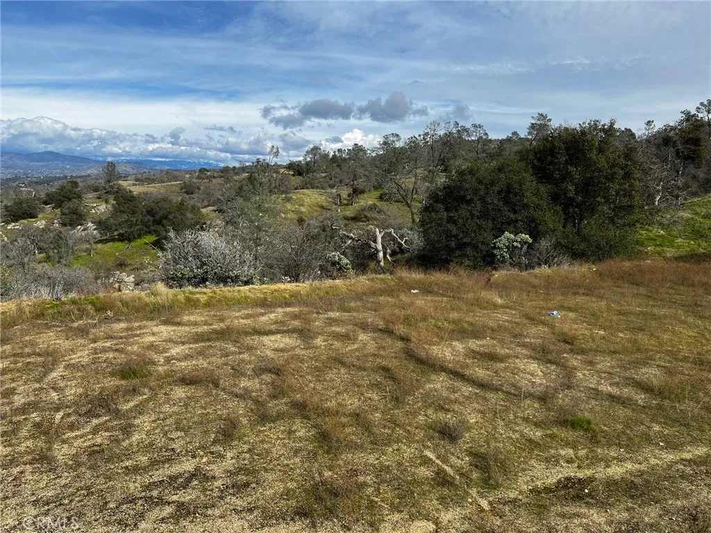 1572 Lilley Mountain