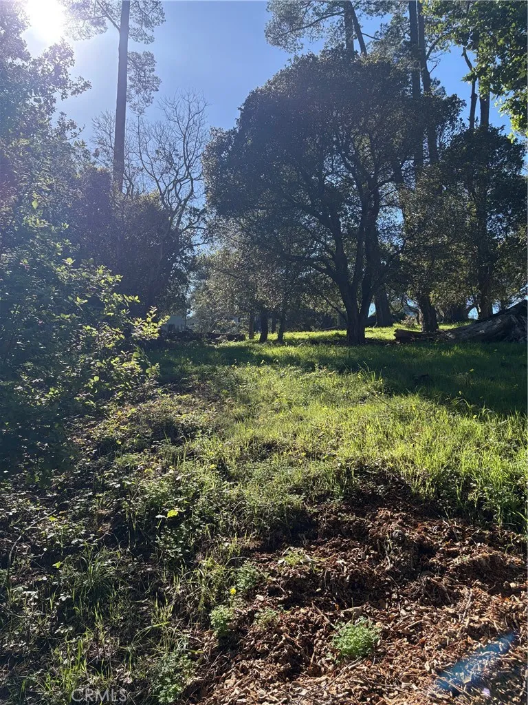 0 Spencer, Cambria, CA 93428 - Photo 4 of 4, Cambria, CA