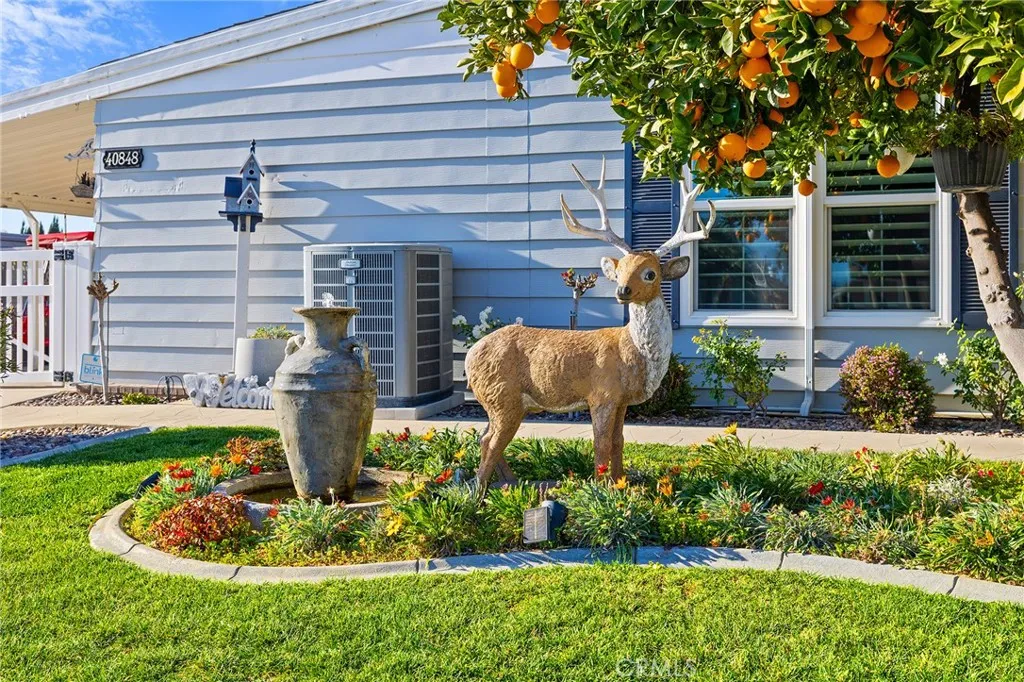 40848 Laredo, Cherry Valley, CA 92223 - Photo 5 of 57, Cherry Valley, CA