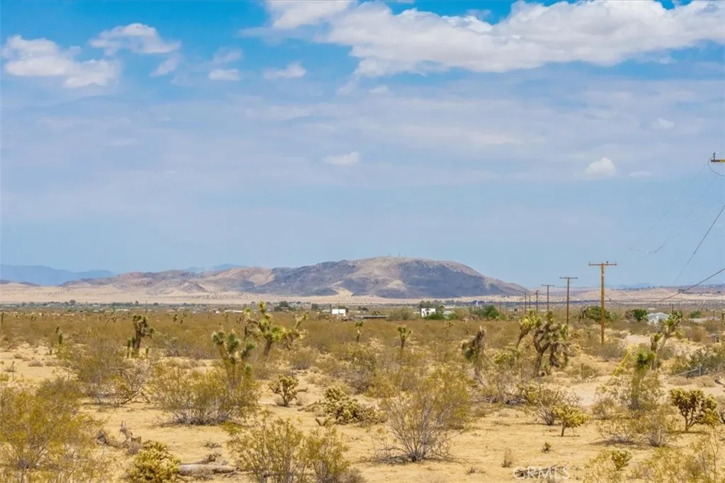 6127 Two Mile, Joshua Tree, CA 92252 - Photo 5 of 19, Joshua Tree, CA