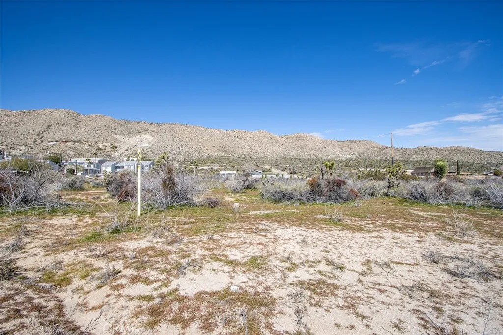 56160 Buena Vista, Yucca Valley, CA 92284 - Photo 5 of 16, Yucca Valley, CA