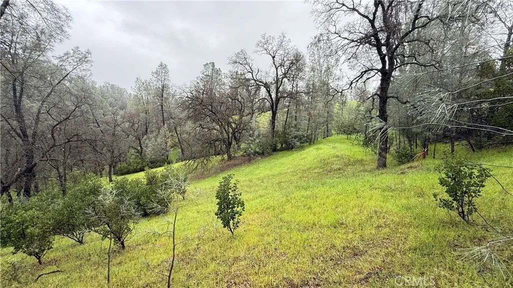 Corning, CA 96021