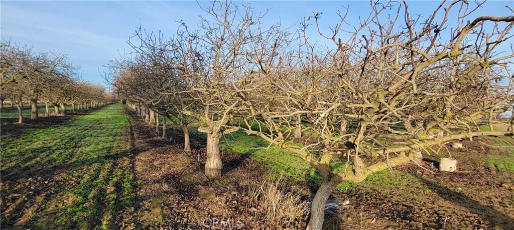 0 Santa Fe, Chowchilla, CA 93610 - Photo 2 of 5, Chowchilla, CA