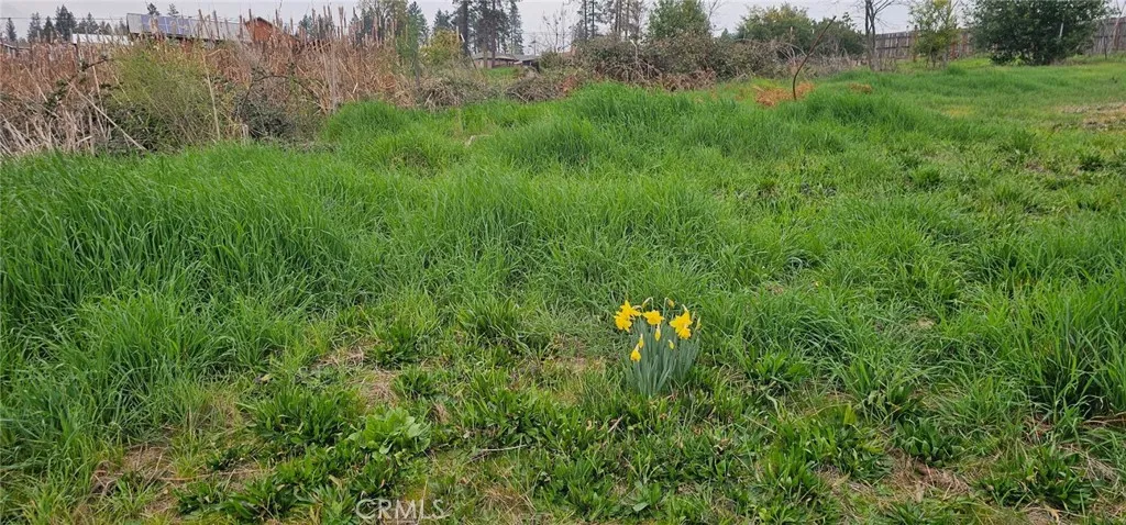 5832 Ingalls, Paradise, CA 95969 - Photo 2 of 4, Paradise, CA
