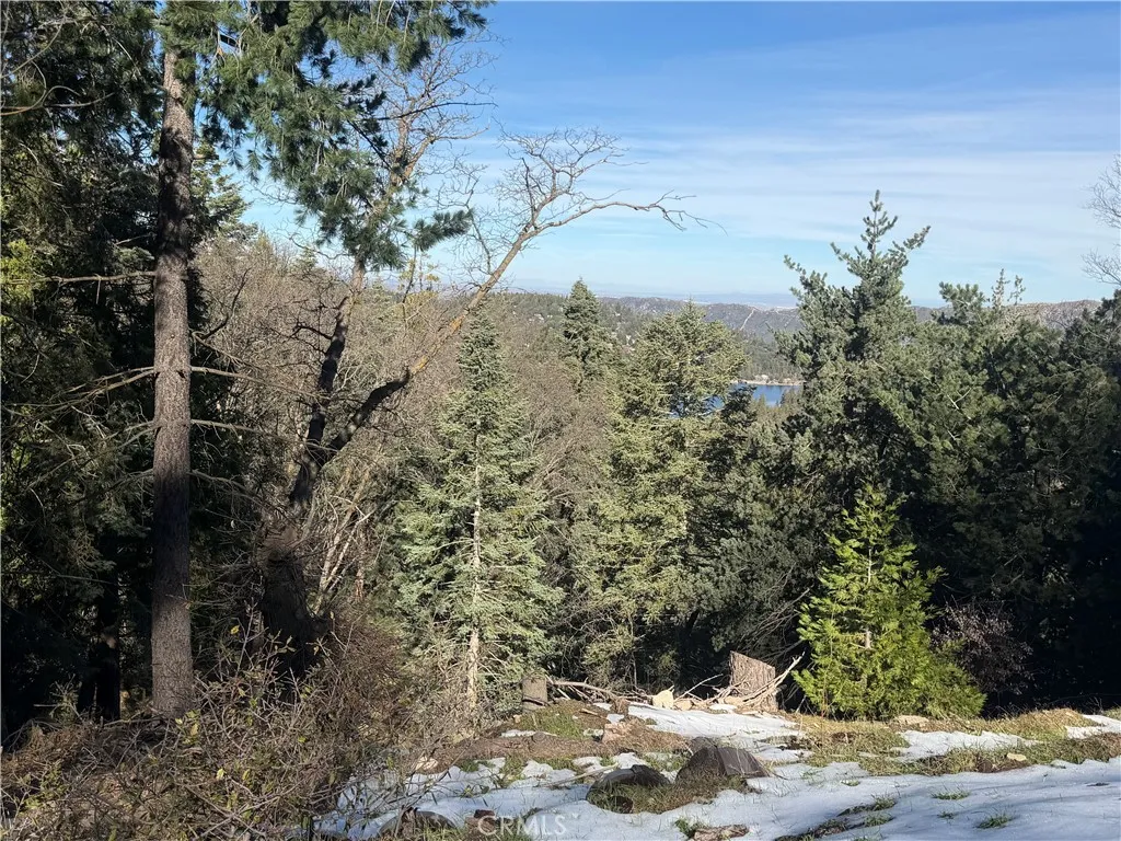 Crestline, CA 92325