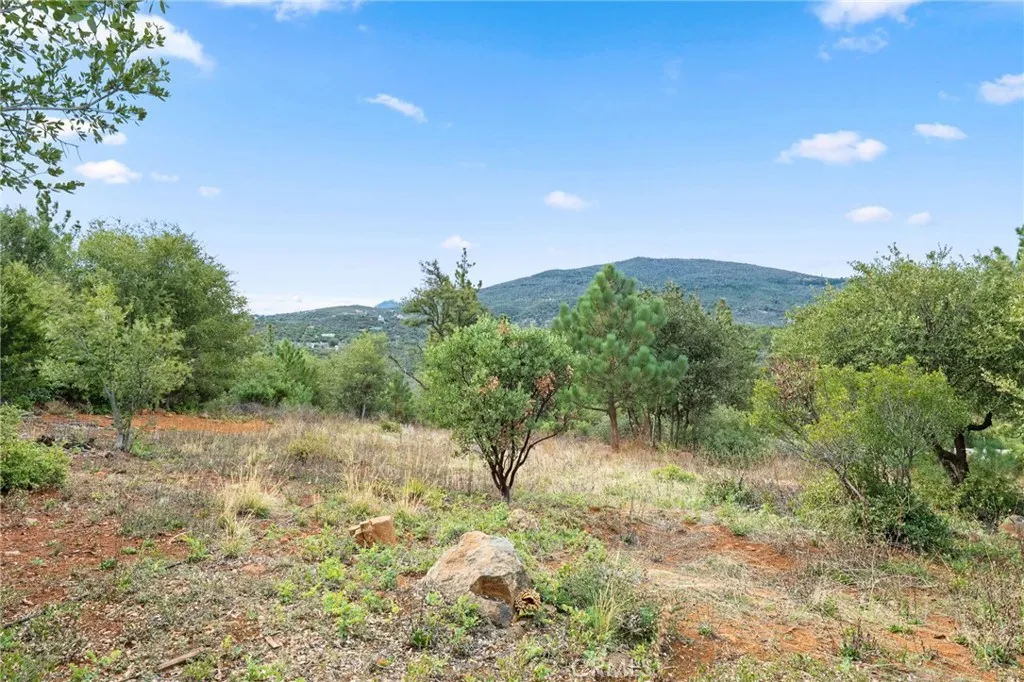 https://cdn.realtyfeed.com/cdn/127/306646767/e1d3fed521a584fe339ef808162c61bb.webp