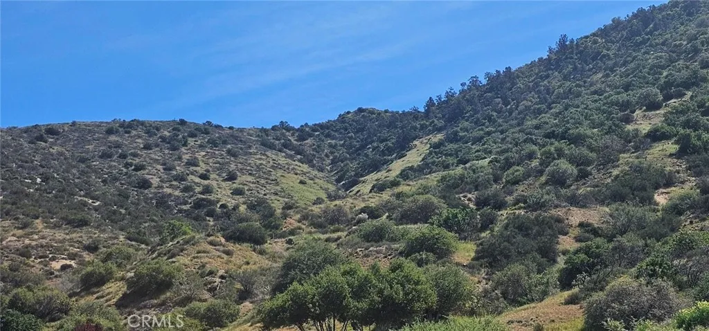 0 Esada Wy/rosen Ln, Acton, CA 93550 - Photo 3 of 5, Acton, CA