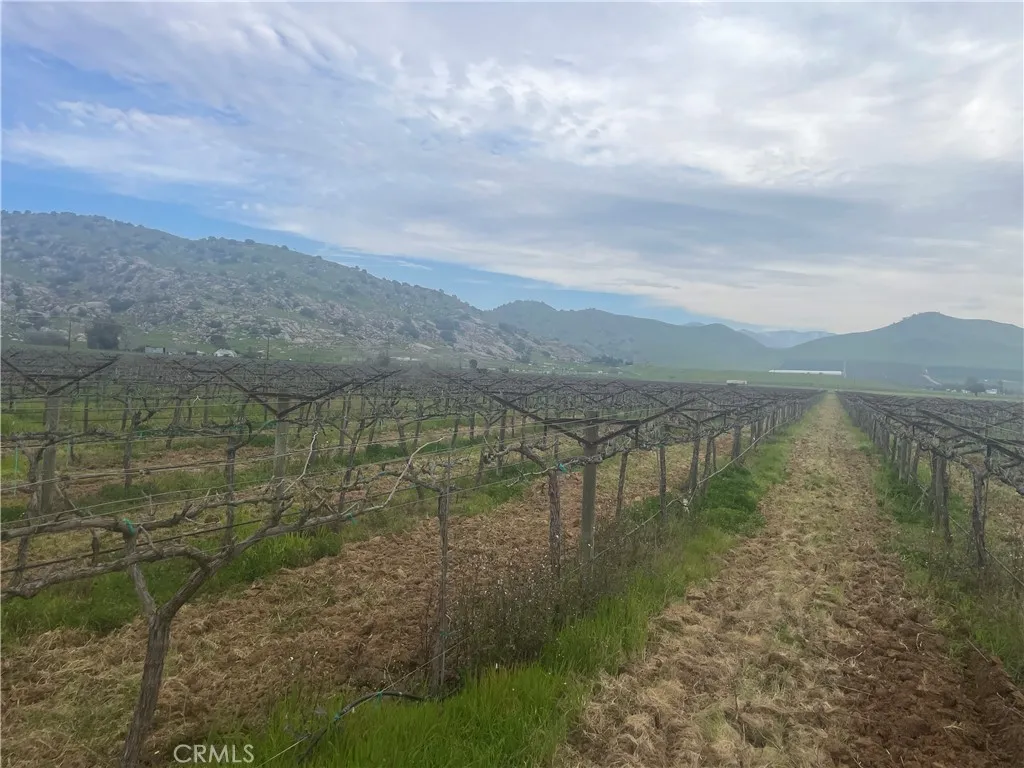 0 E Olive, Porterville, CA 93257 - Photo 3 of 6, Porterville, CA