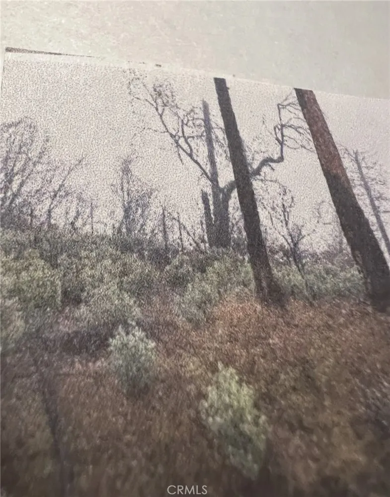 0 Rockerfeller Rd, Berry Creek, CA 95916 - Photo 3 of 11, Berry Creek, CA