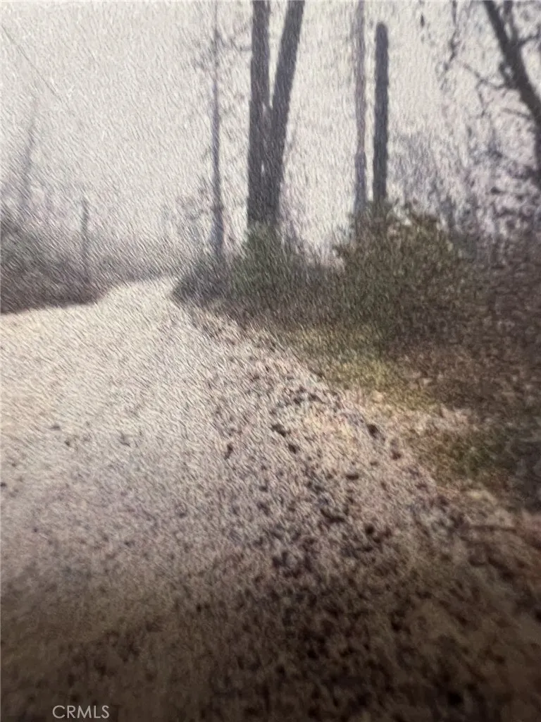 0 Rockerfeller Rd, Berry Creek, CA 95916 - Photo 5 of 11, Berry Creek, CA