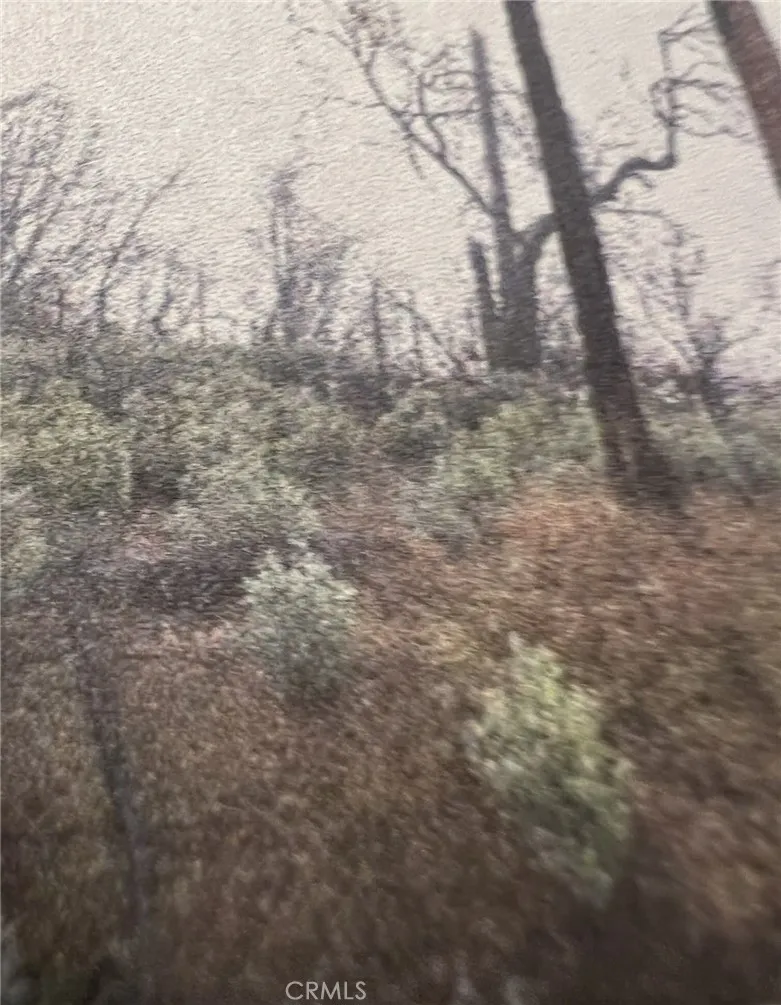 0 Rockerfeller Rd, Berry Creek, CA 95916 - Photo 4 of 11, Berry Creek, CA