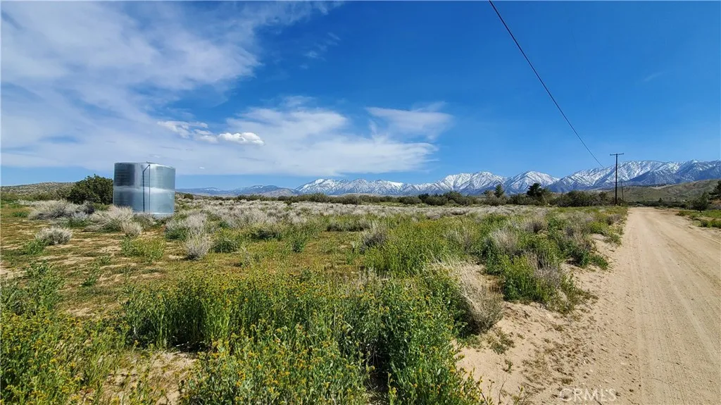 Juniper Hills, CA 93553