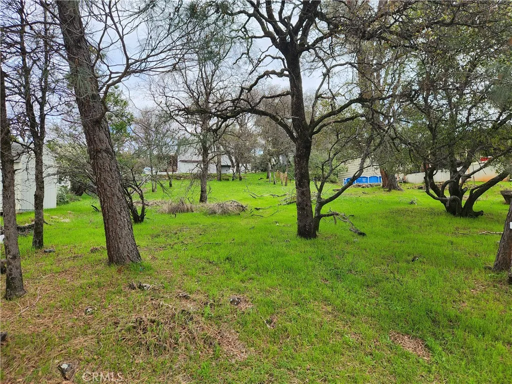 Oroville, CA 95966