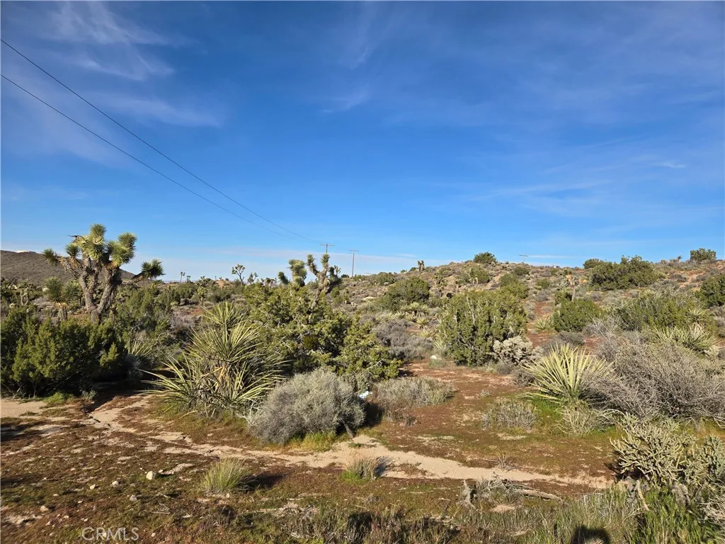 1234 Lemoore, Yucca Valley, CA 92284