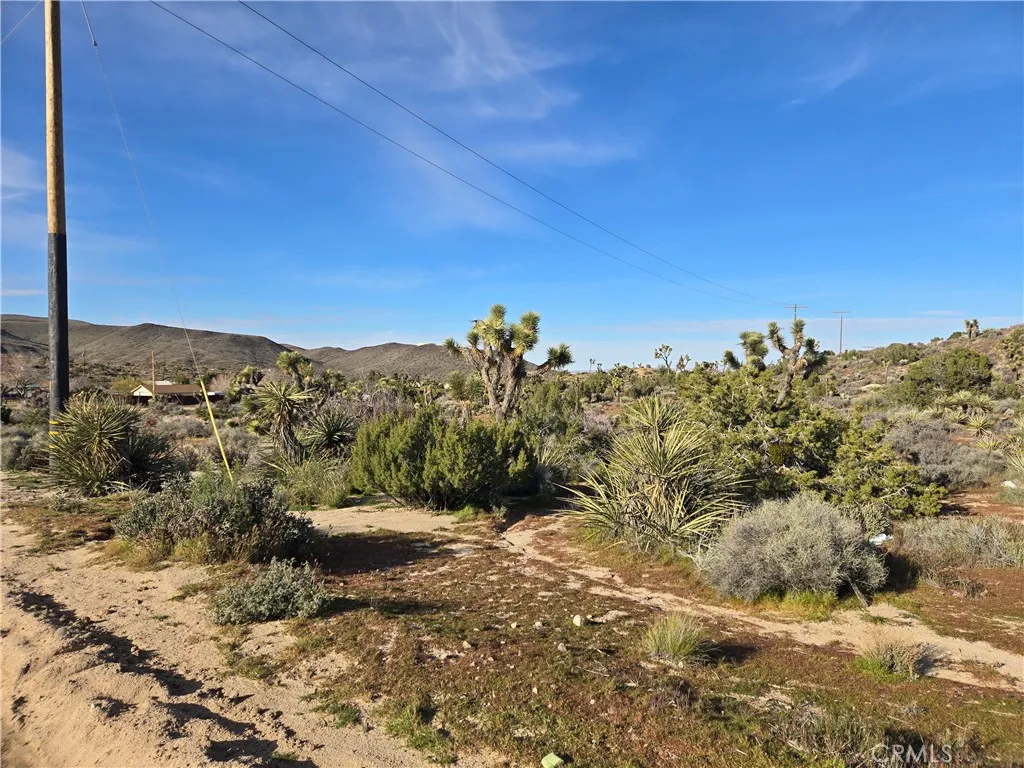 1234 Lemoore, Yucca Valley, CA 92284 - Photo 4 of 5, Yucca Valley, CA