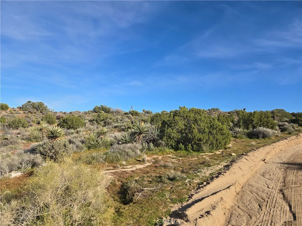 1234 Lemoore, Yucca Valley, CA 92284 - Photo 5 of 5, Yucca Valley, CA