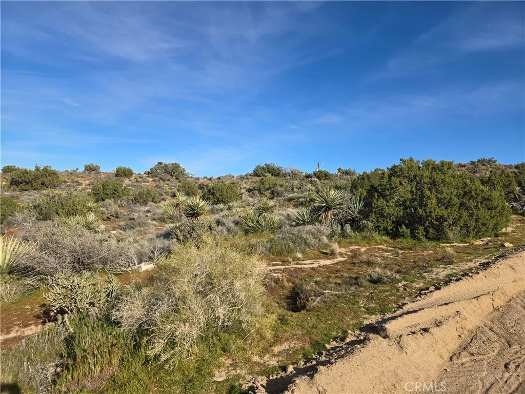 1234 Lemoore, Yucca Valley, CA 92284 - Photo 3 of 5, Yucca Valley, CA