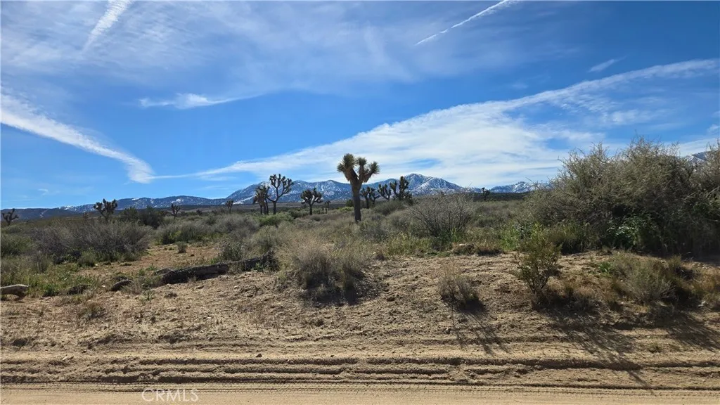 0 Fort Tejon Rd Vicinity 181st St E, Llano, CA 93544 - Photo 5 of 50, Llano, CA