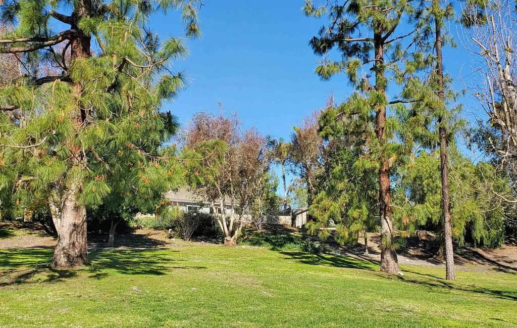 https://cdn.realtyfeed.com/cdn/127/306652165/36cdf2864fad547d5bf945c807d86531.webp