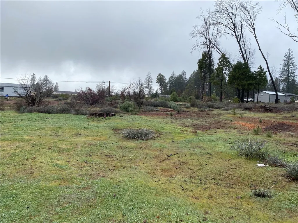 14127 Skyway, Magalia, CA 95954 - Photo 3 of 9, Magalia, CA
