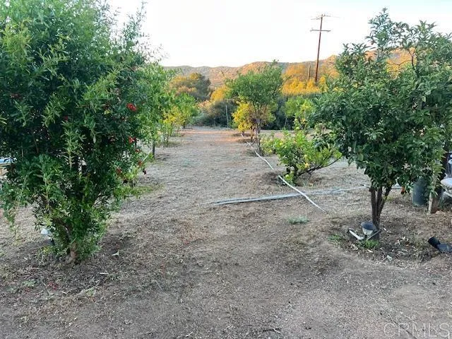 2526 Forest Park Rd, Jamul, CA 91935 - Photo 5 of 10, Jamul, CA