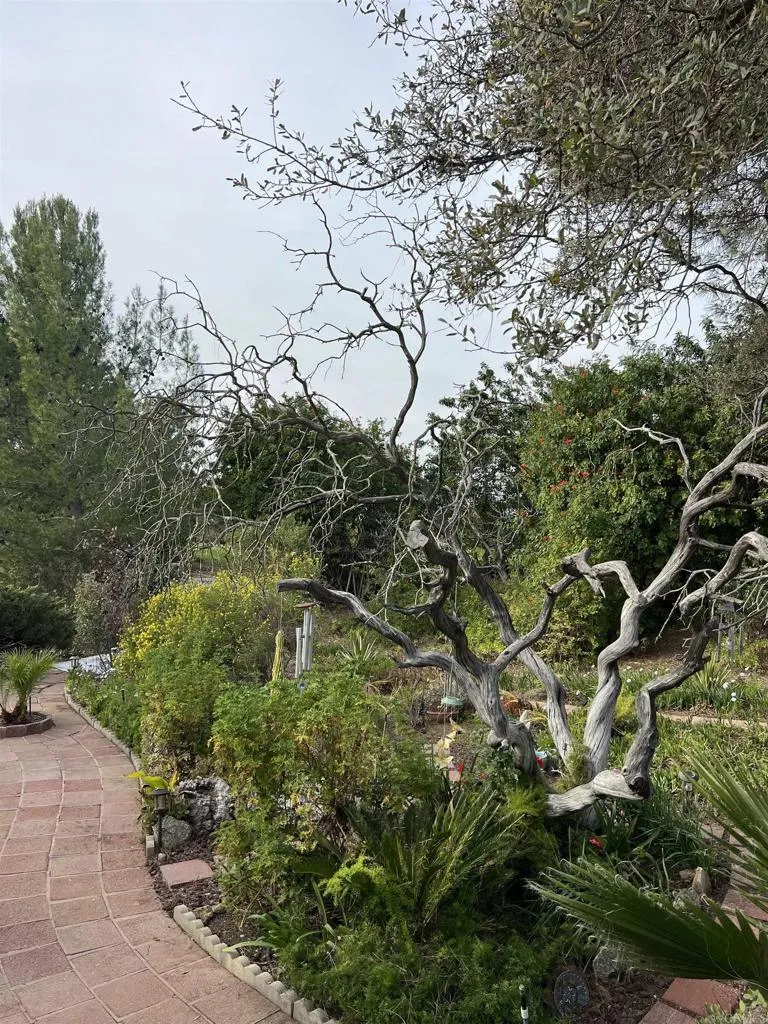 https://cdn.realtyfeed.com/cdn/127/306654888/7ed448358195d37f26037e38b9e489b0.webp
