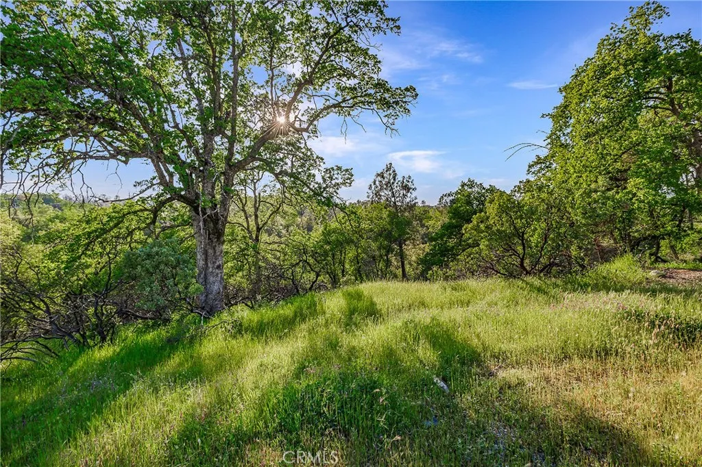 166 Quartz Hill