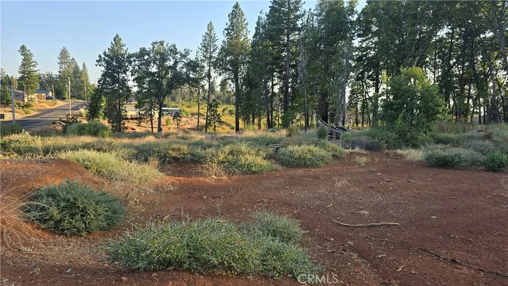13597 Park, Magalia, CA, 95954