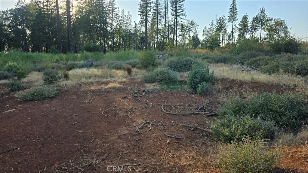 13597 Park, Magalia, CA, 95954