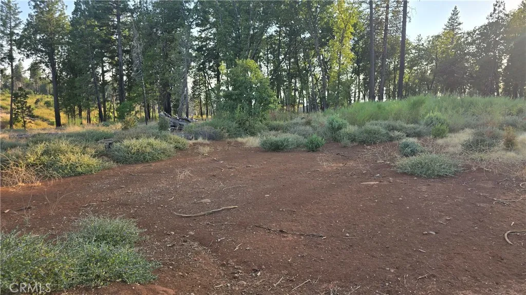 13597 Park, Magalia, CA, 95954