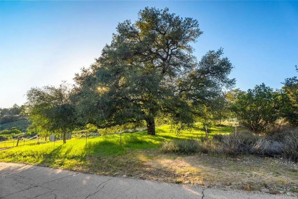 https://cdn.realtyfeed.com/cdn/127/306656466/0ed4ea72a21fb7ac118233594f8e2a3f.webp