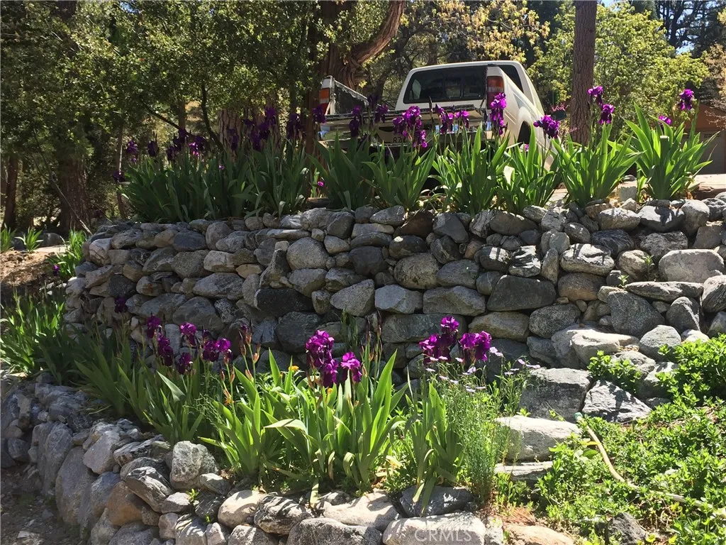 9112 Torrey Pines Road, Forest Falls, CA 92339 - Photo 4 of 31, Forest Falls, CA
