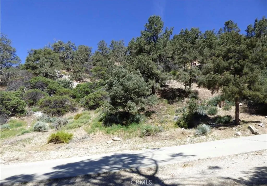0 Escolon Trl, Frazier Park, CA, 93225