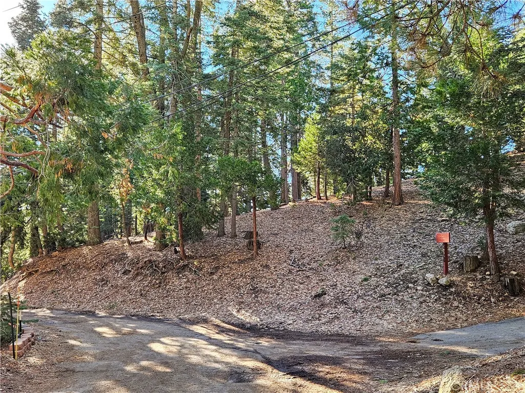 Lake Arrowhead, CA 92352