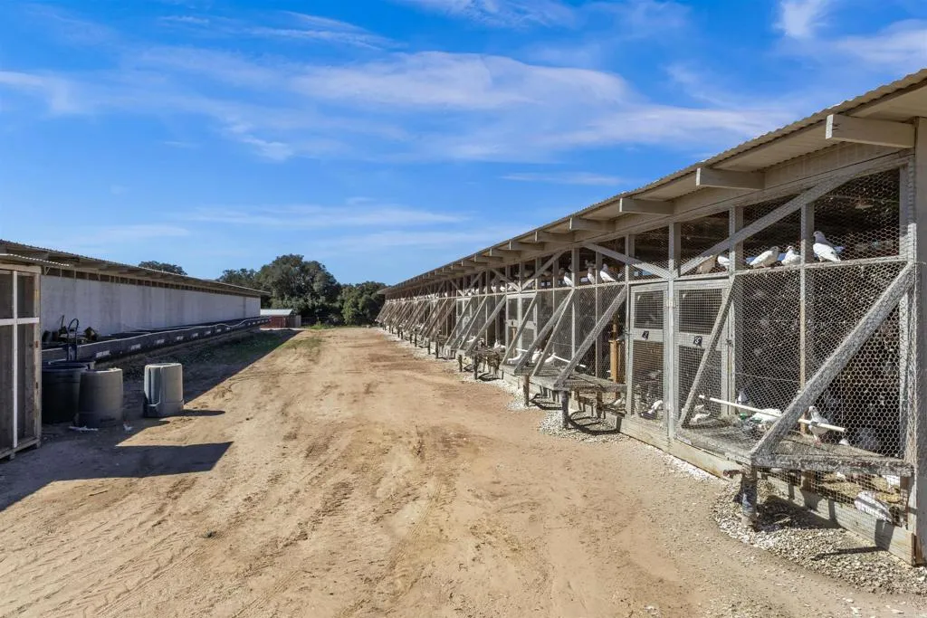 35683 Breezy Lane, Ranchita, CA, 92066